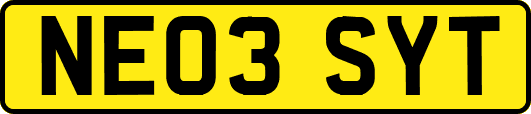 NE03SYT