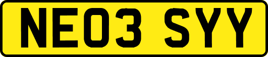 NE03SYY
