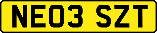 NE03SZT