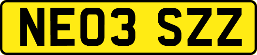 NE03SZZ