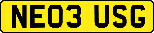 NE03USG