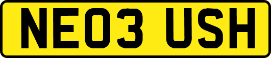 NE03USH