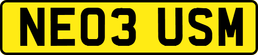 NE03USM
