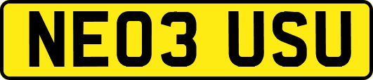NE03USU