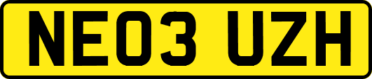 NE03UZH