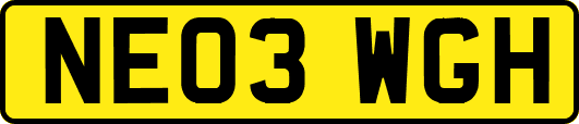 NE03WGH