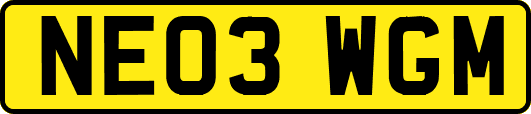 NE03WGM