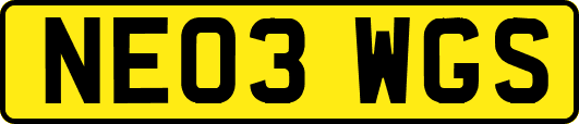 NE03WGS