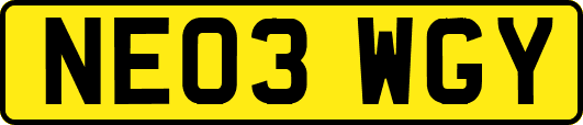 NE03WGY