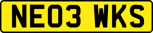 NE03WKS