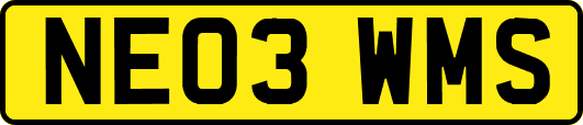 NE03WMS