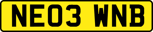 NE03WNB