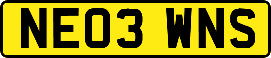 NE03WNS
