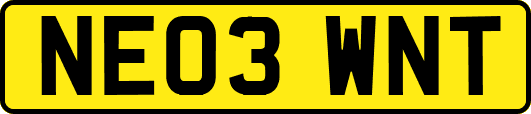 NE03WNT