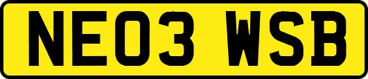 NE03WSB