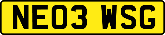NE03WSG