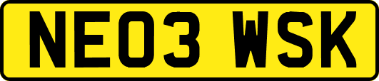 NE03WSK