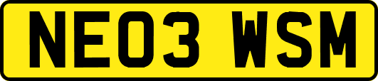 NE03WSM