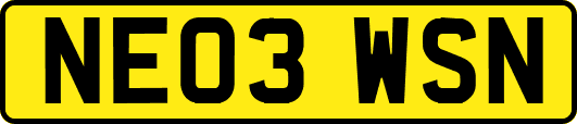 NE03WSN