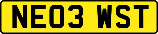 NE03WST