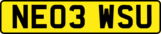 NE03WSU