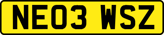 NE03WSZ