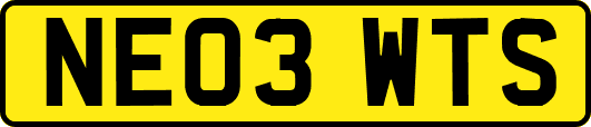 NE03WTS