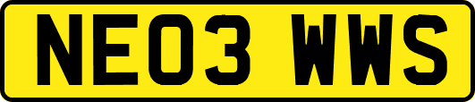 NE03WWS
