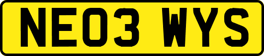 NE03WYS