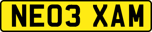 NE03XAM