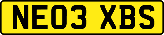 NE03XBS