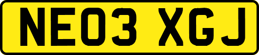 NE03XGJ