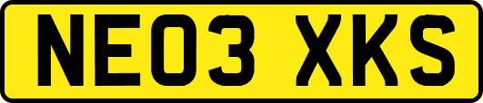 NE03XKS