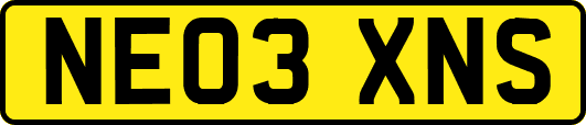 NE03XNS