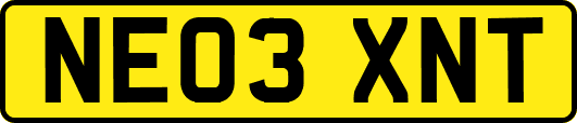 NE03XNT