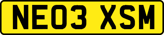 NE03XSM