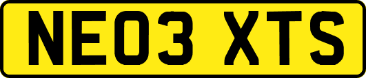 NE03XTS