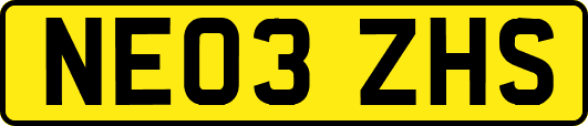 NE03ZHS