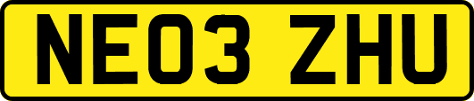NE03ZHU
