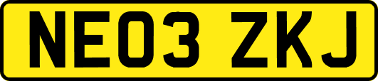 NE03ZKJ