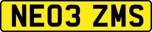 NE03ZMS