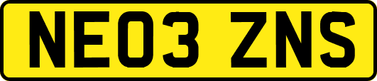 NE03ZNS