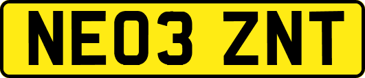 NE03ZNT