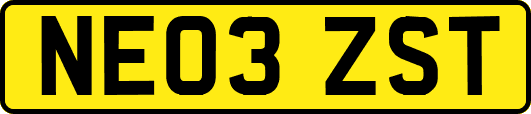 NE03ZST
