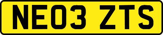 NE03ZTS