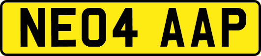NE04AAP