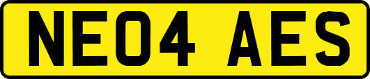 NE04AES