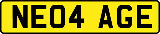 NE04AGE