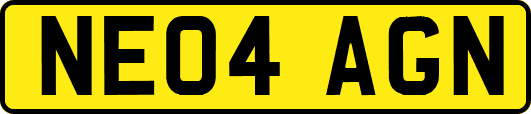 NE04AGN
