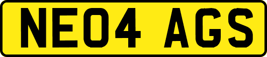 NE04AGS